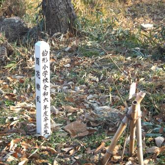 卒業の記念植樹