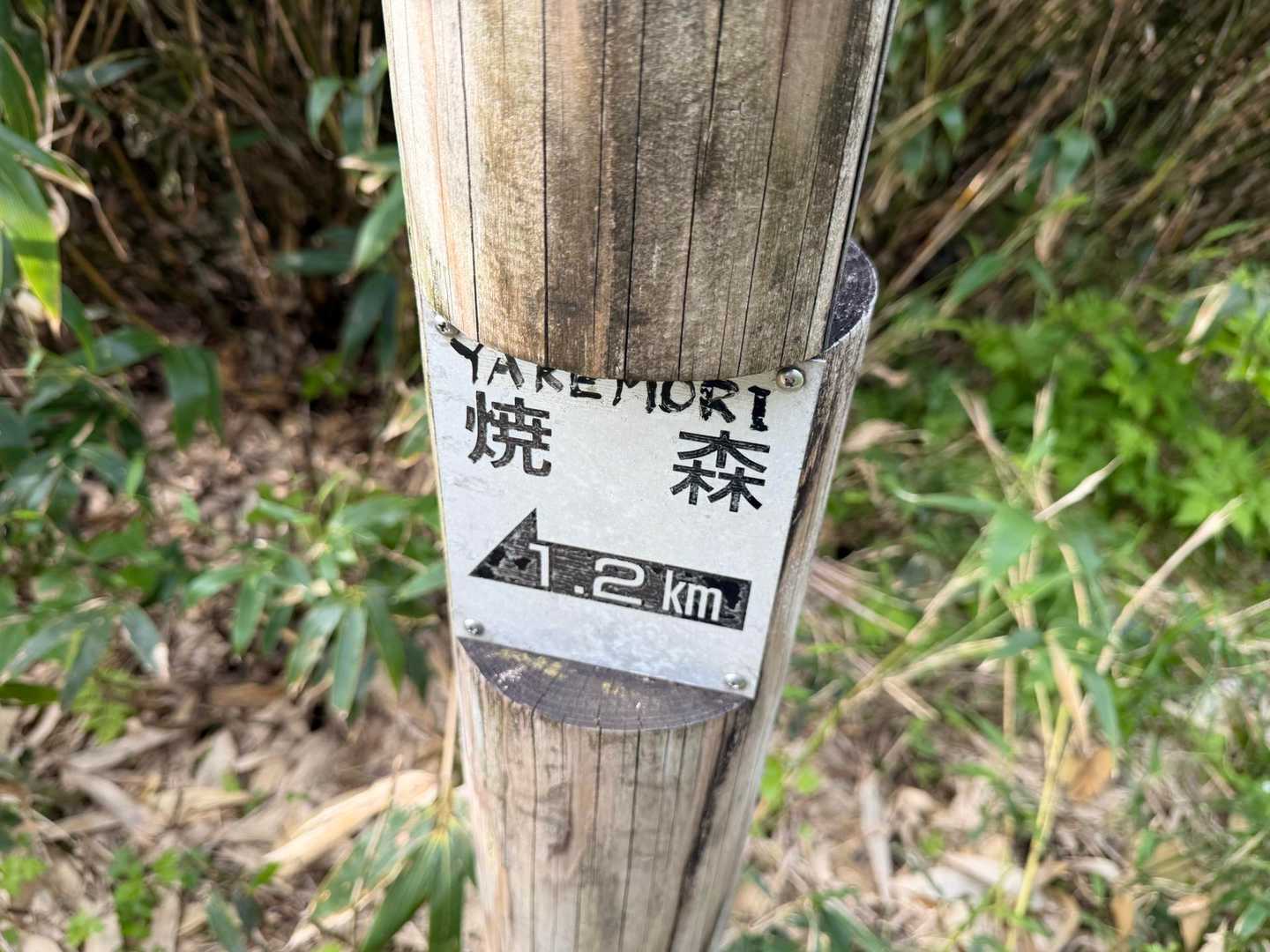 すぐ左へ