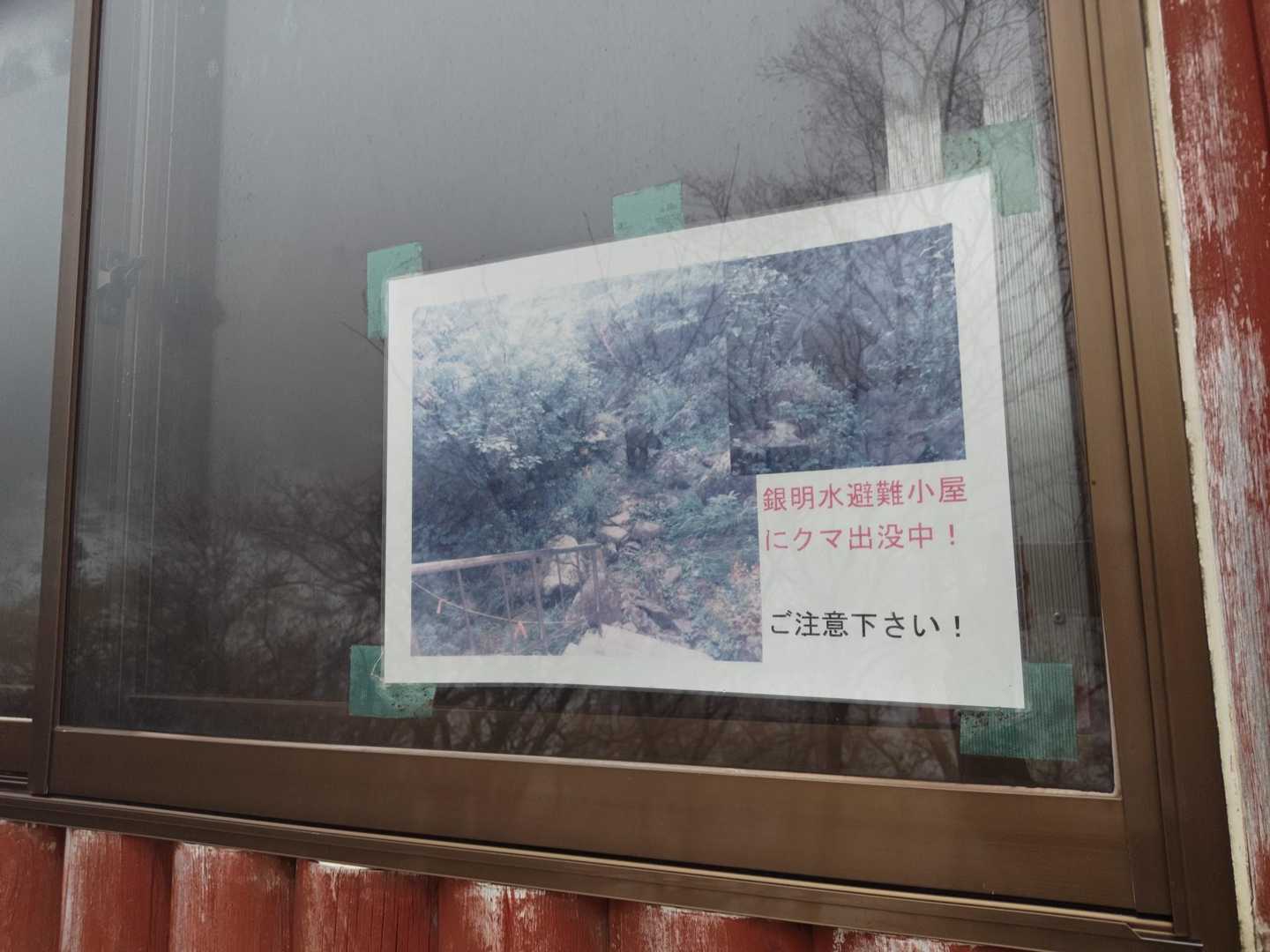 がっつり🐻いる