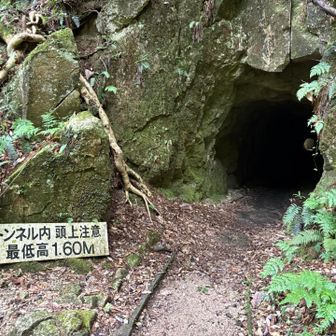 トンネル暗いのでスマホのライトで