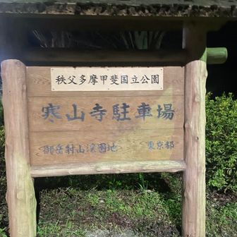 確かに寒かった🥶