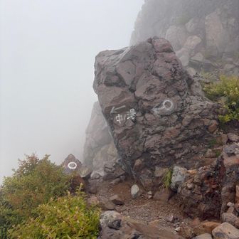 ここは別な登山口からの合流地点。、
