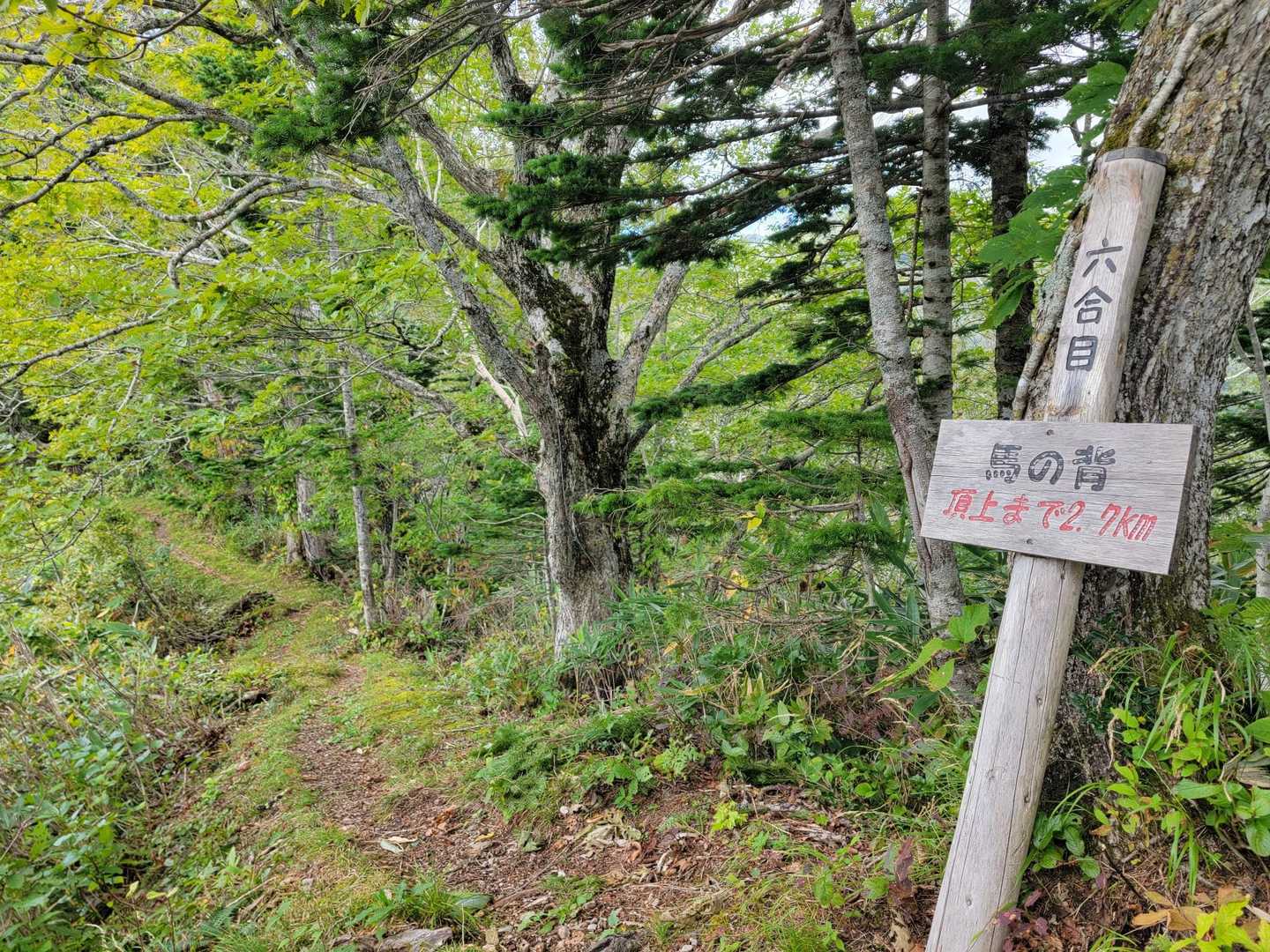 ほどなくして馬の背に到着
