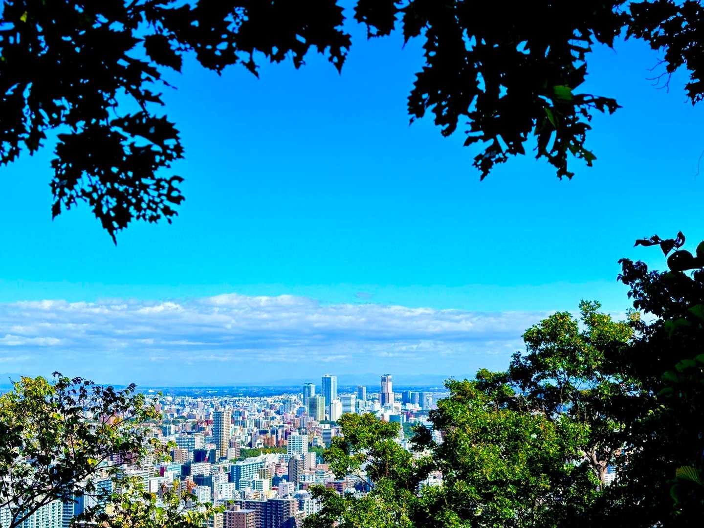 円山 往復コースの写真