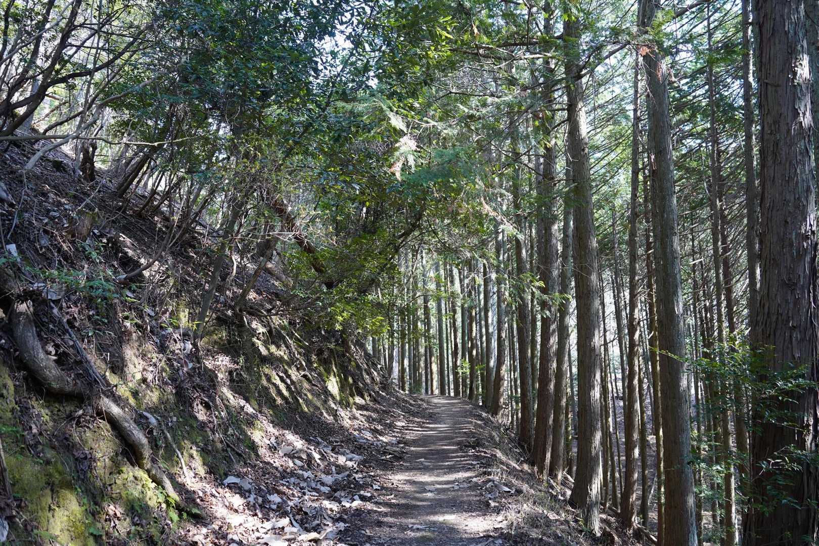 風もなし