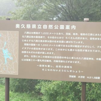 説明