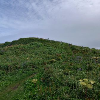 つばめ山
