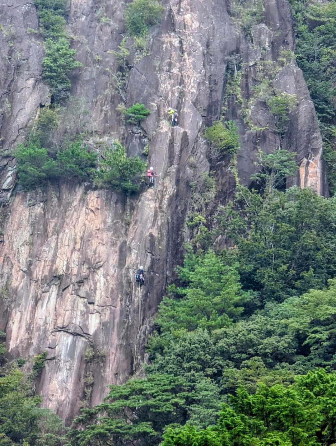 おおぉ～、クライマ−。