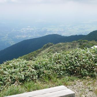稜線はガスで陽射し弱め