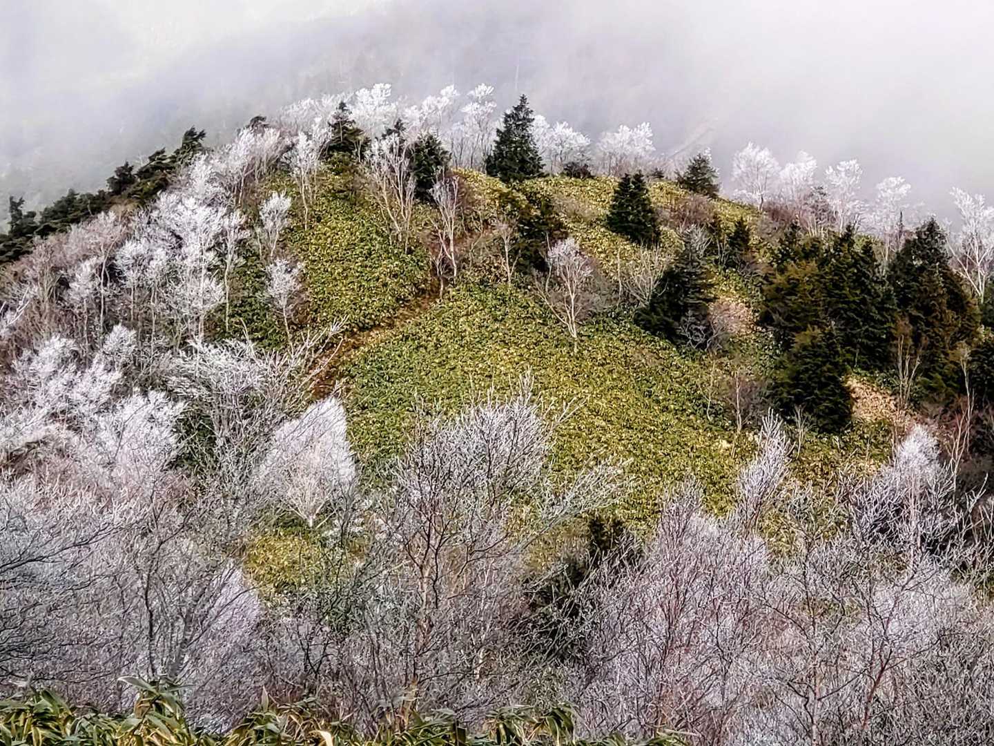今年最後の恵那山 / yuzu111さんの恵那山・大判山・神坂山の活動データ