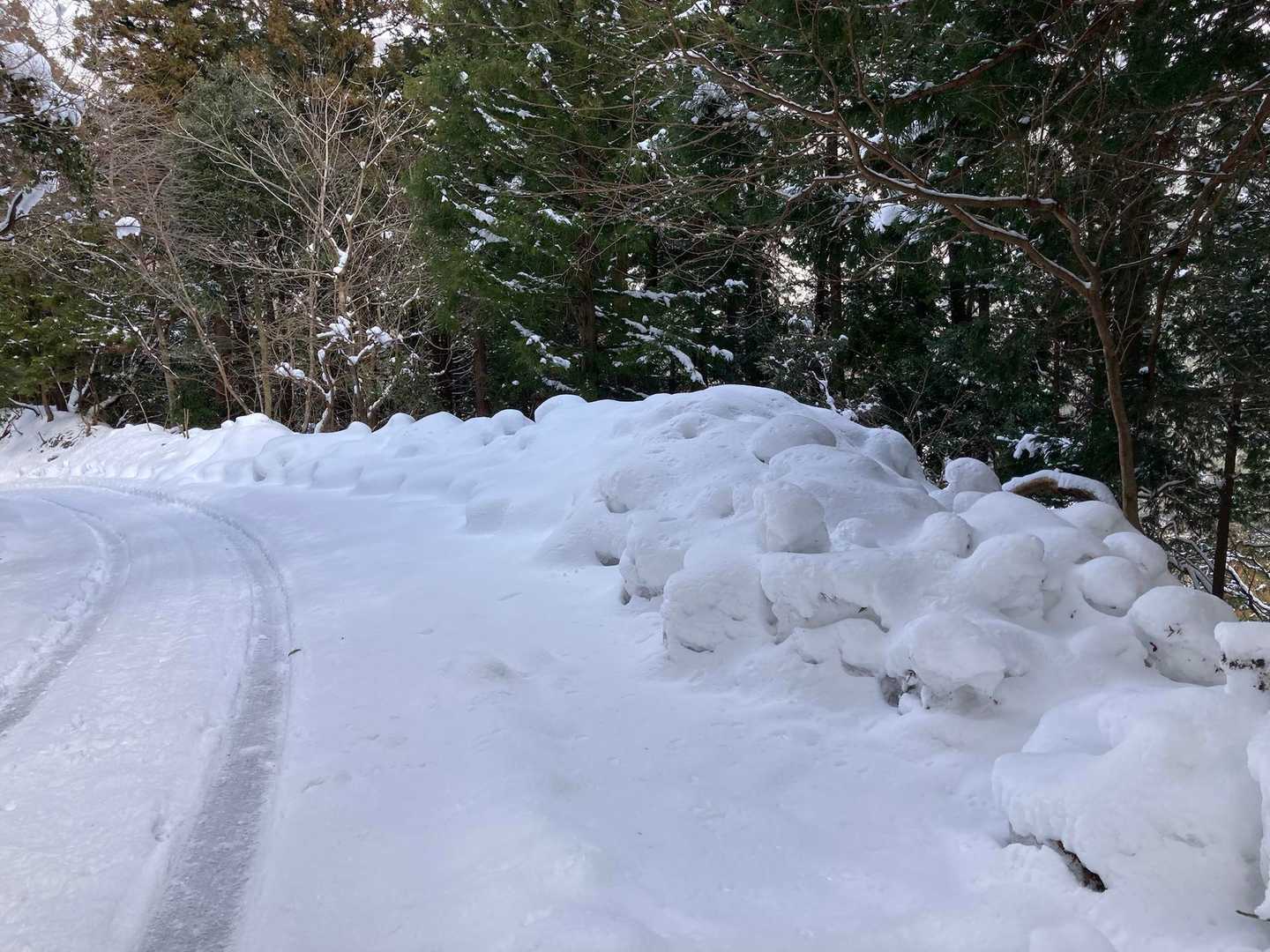 天狗の森公園登山口-飯盛山 往復コースの写真
