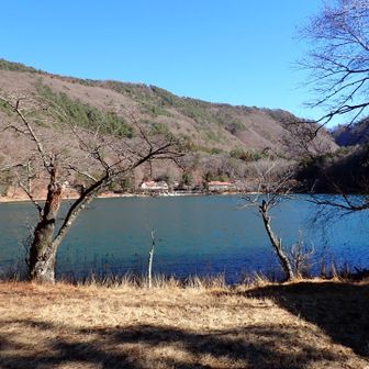 四尾連湖は、とても静かで美しかった。
キャンプで人気らしいけど、確かに良さげ