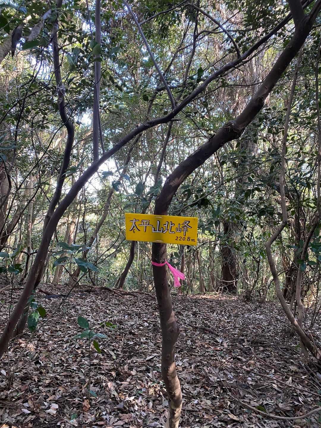 看板しか、写真撮る場所が😅💦