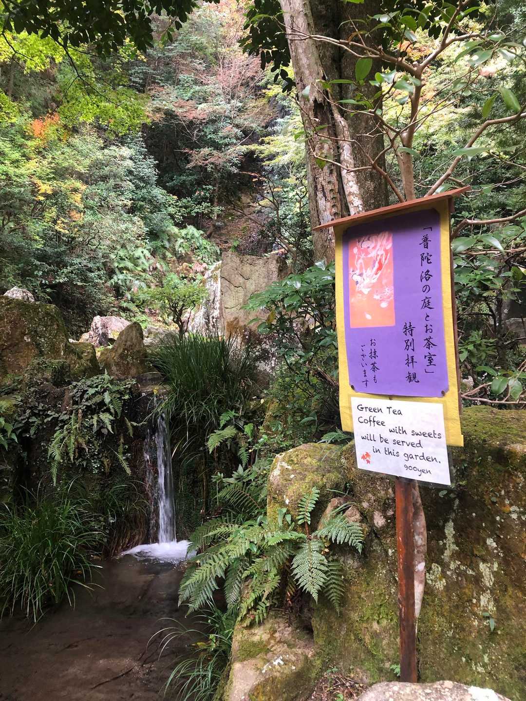 毎年これを目当てに🍵。今年900円也