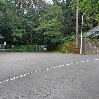 そして二度目の舗装路🚶
この登り返しからやはり雨が…☔