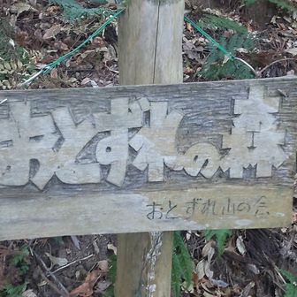 ここは「おとずれの森」