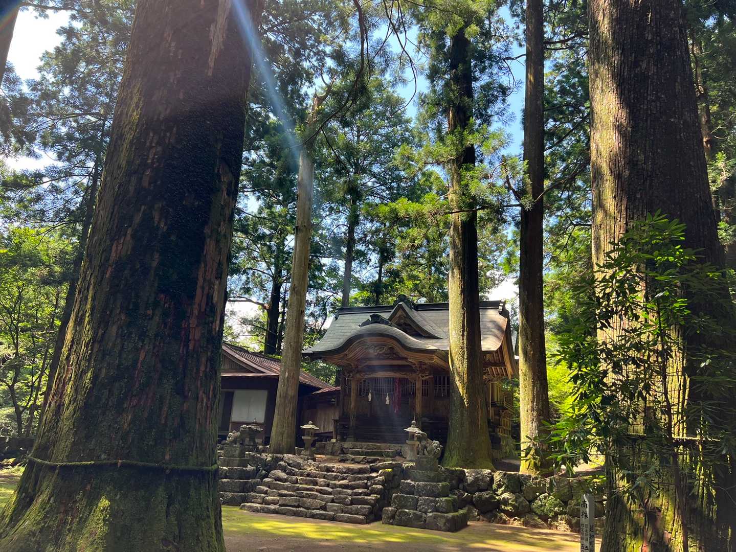 良いね　このアングルからもステキだ😊