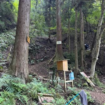 🅿️から少し下り、今畑登山口に立つ。