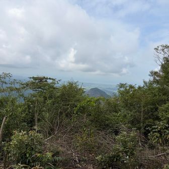 山頂周囲は木が伸びてあまり見えませんでした。