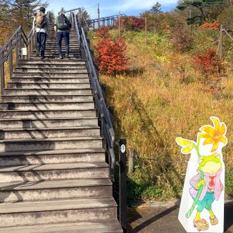 1445段の階段から始まる