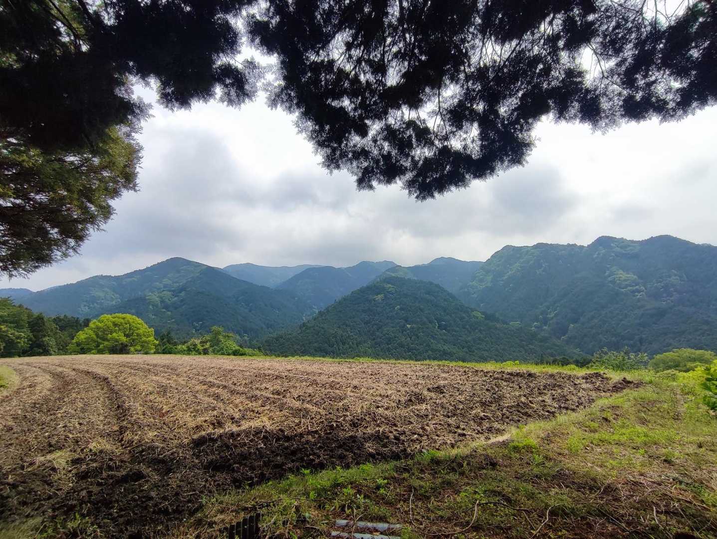 天狗谷-大和葛城山-水越峠 周回コースの写真