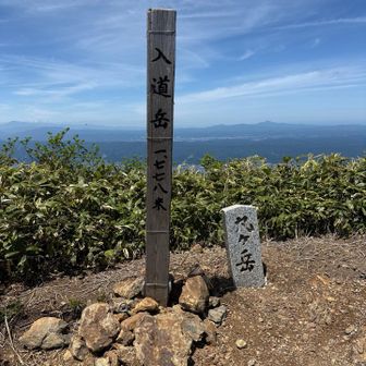 毎年倒れてたのが、、、　立ててくれた方、本当にありがとう😊