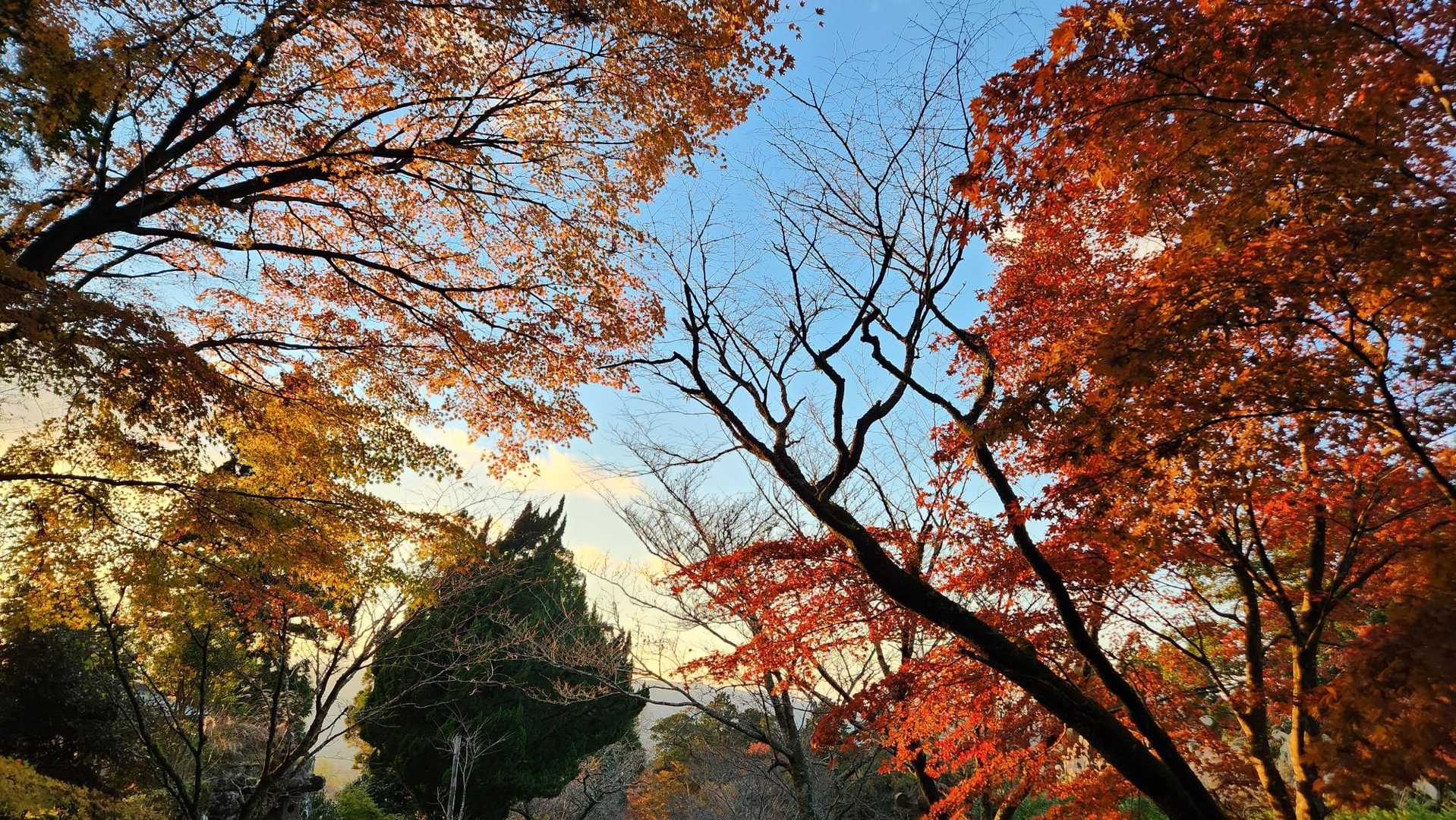 紅葉もキレイ😄