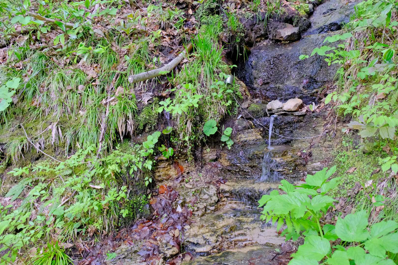 長命水到着。ここから本格登山道。前回同様、ここからの登り始めは水分が多いのかぐちゃぐちゃ。