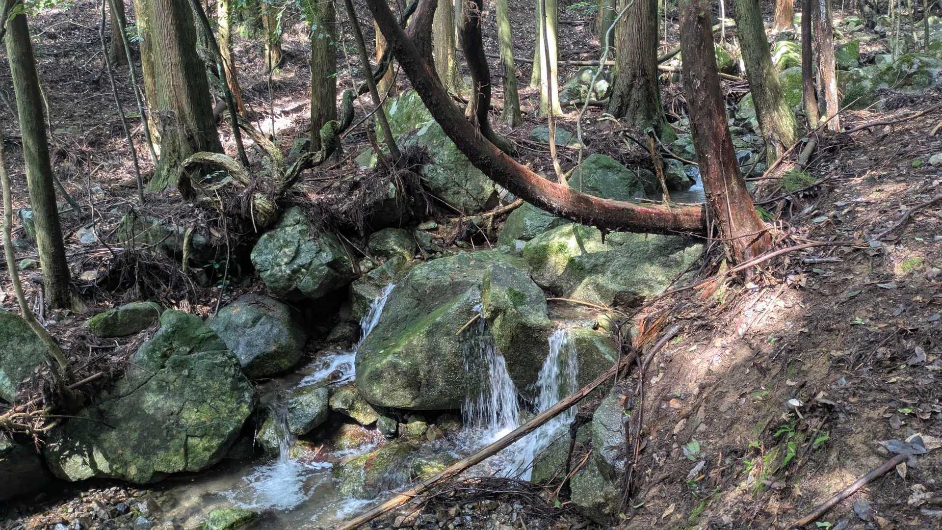 水の音が心地よい