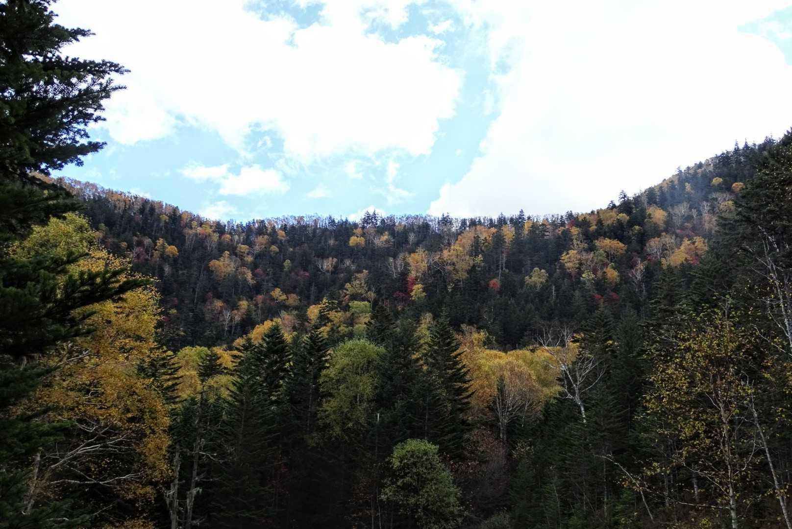 クマネシリ岳 往復コースの写真