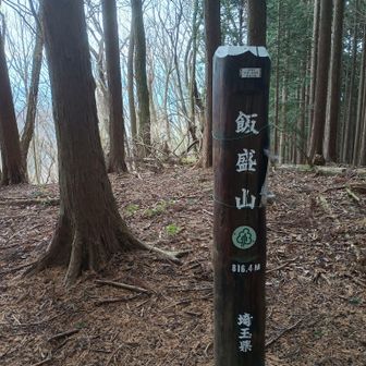 飯盛山とうちゃこ
ややこしいのだがここは飯能市とときがわ市の境にある飯盛山😳