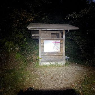 完全に日没。ここからも5キロ以上下山が必要。慎重に下る。