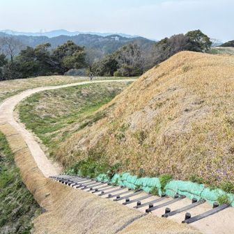 整備されている