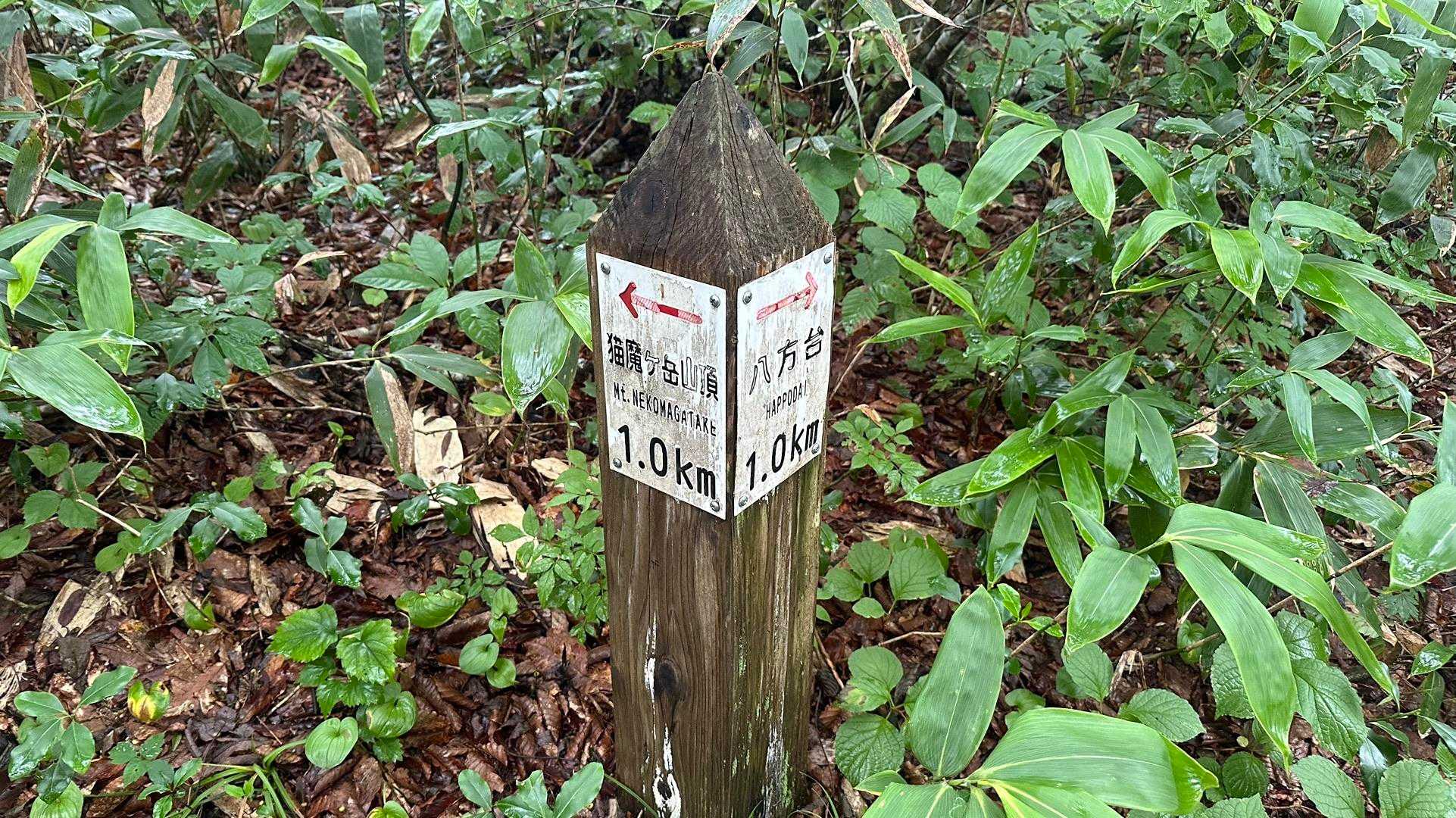 中間地点