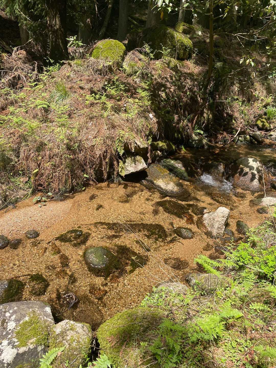 手を洗いました。冷たくて気持ちいいー