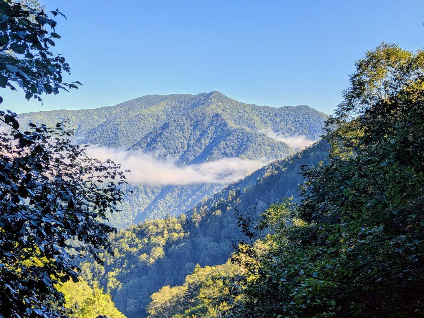 曲り沢登山口-チロロ岳 往復コースの写真