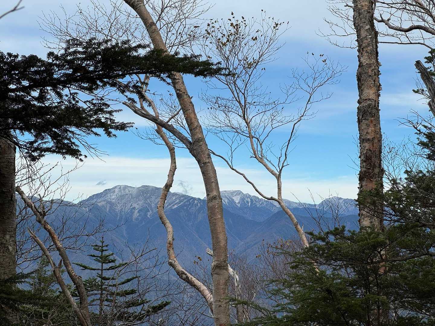 その右にはひじリン→明石→悪沢♪