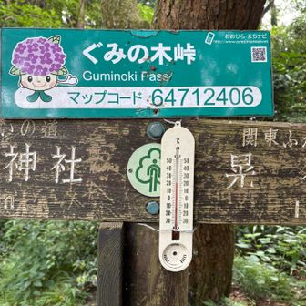 気温は20℃くらい。
湿度は高めです