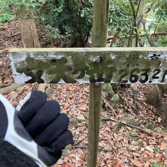 着いたー