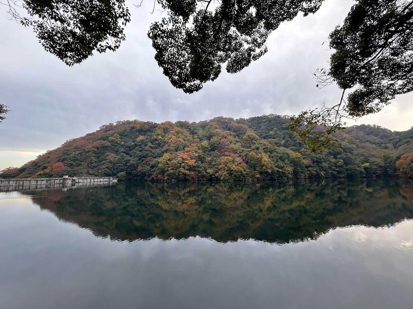 谷上駅-石楠花山-滝山城跡登山口-新神戸駅 縦走コースの写真
