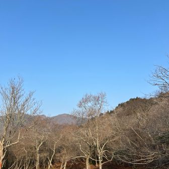 まだなだらかな道が続く。今日は楽ちんだなぁ😊この時はまだこの先の激坂、渡渉、細道、ピンクテープ無しエリアを知る由もなく楽しく歩く