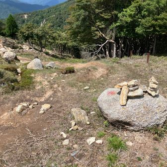 道幅広すぎて、どこから降りるのが正解かわからないけど、この赤い点を目印に。