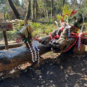 有名スポットの西山の龍🐉
すでにお正月バージョンになっていました🎍