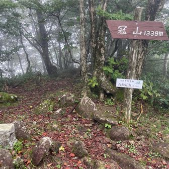 一気に飛んで、広島県ナンバー２の標高の冠山（吉和冠山・安芸冠山）1,339m。到着時はガスっていて…周りの視界は望めません。リュックを下ろしてゆっくりしていると陽射しが届き、風も出てきて、雲が晴れていきます。