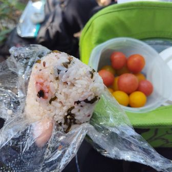 🍉食べたらむしろお腹が減ってきた😂
早すぎるお昼？
あ、🍙出したらコロコロ転がる〜😂
ギリ一段下🌾ススキの根本で止まり🍙回収！
おむすびコロリン、止まらないもんですね🤣
🍉→順番逆ですが🍅🍙梅干しと塩昆布😋
🍙酸っぱ旨い👍
