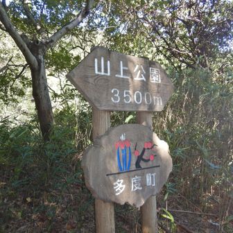 展望満喫コースの総距離は3.5km
