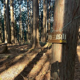 丹三郎山山頂にも立ち寄りました。