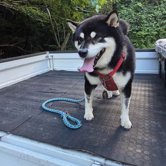 お疲れさまでした〰️🐶
