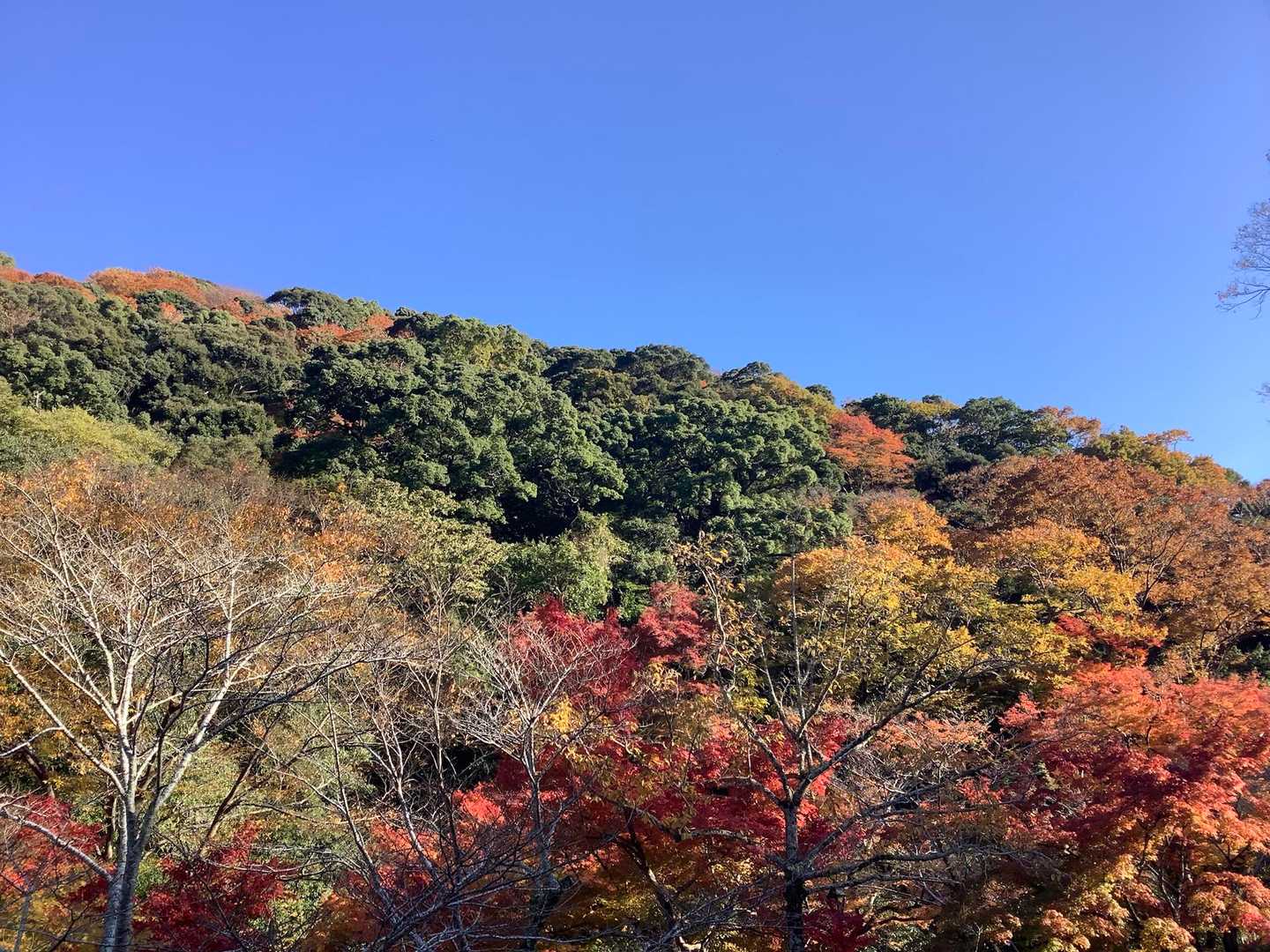 京都ツアー時も、いつもこうだったらいいなぁ〜（笑）
