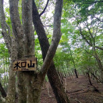 水口山
